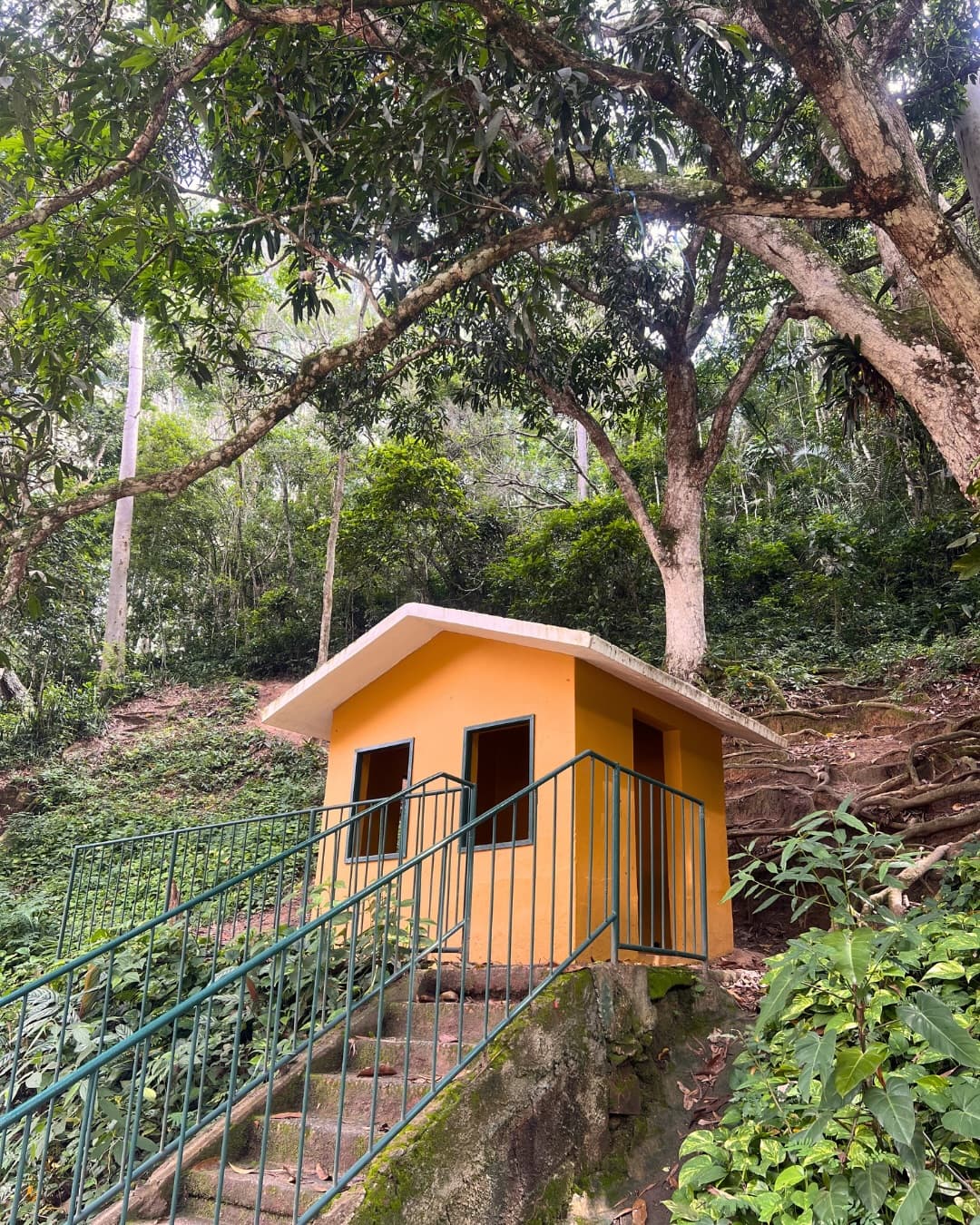 Casinhas de brincar